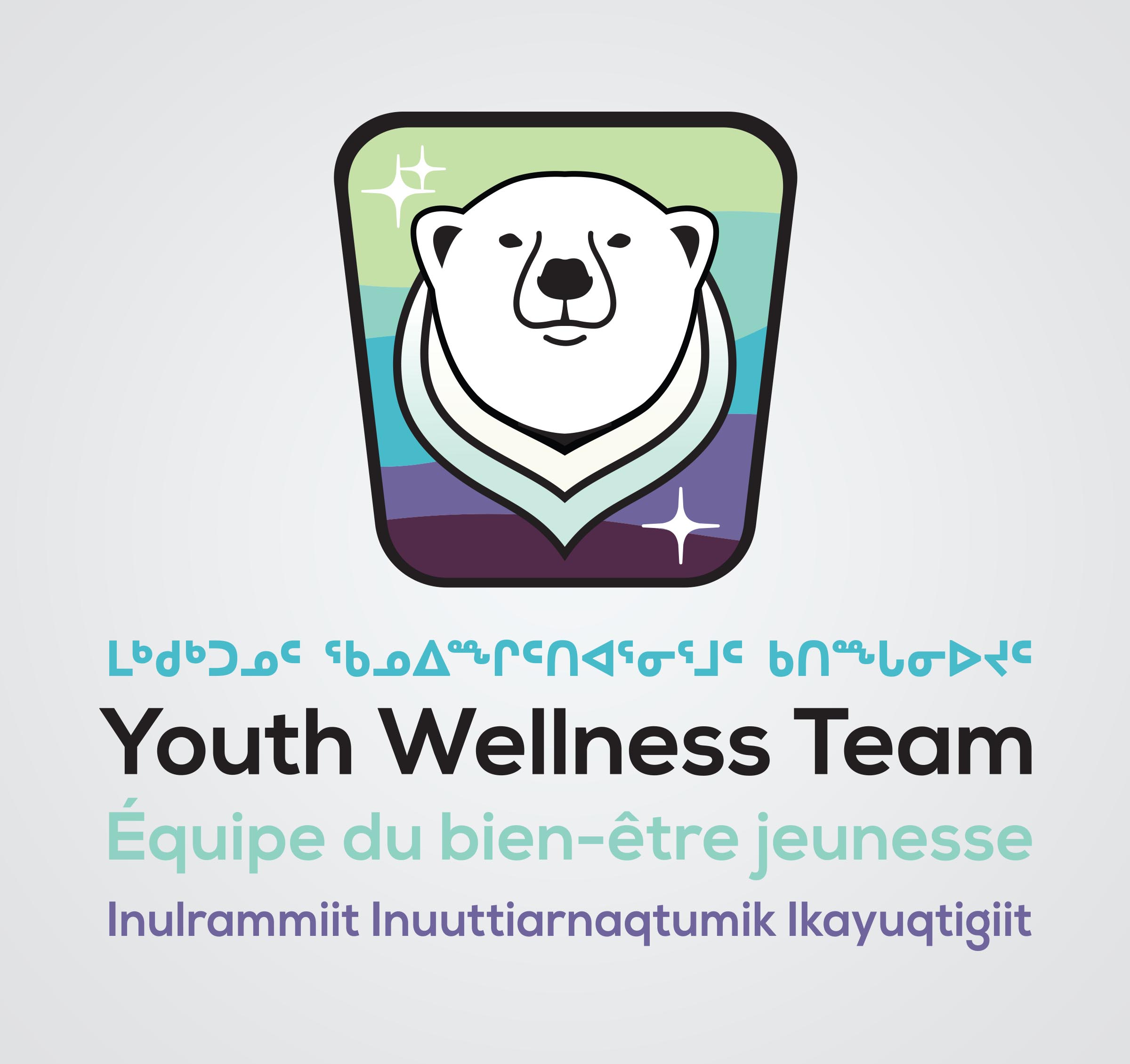 Youth Wellness Team
